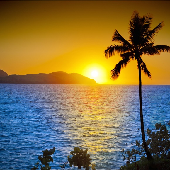 Meet your Posher, Des - Picture 4 of 10